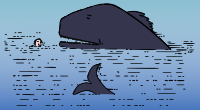 Tail of a whale
