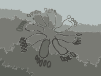 Original Aiflowers 217