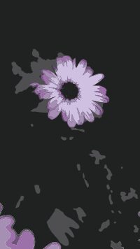 Original Aiflowers 283