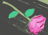 Original Aiflowers 385