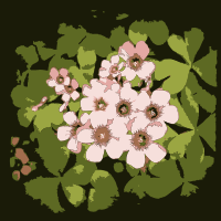 Original Aiflowers 396