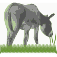 My Ass in the grass