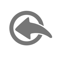 import icon