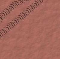 Bicycle Track