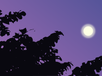 Sky and Moon