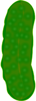 Pickle Remix