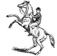 Man riding a rearing horse
