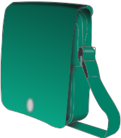 man handbag