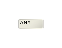 The Any Key