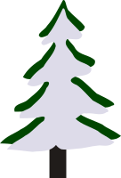 Pine in winter