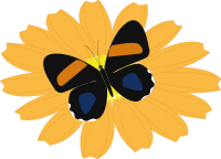 papillon
