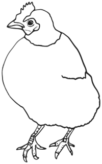Hen Outline