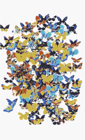 A swarm of butterflies
