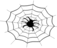 spider on spider net