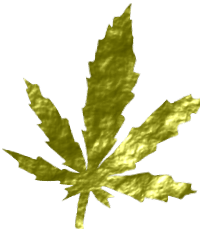 the leaf