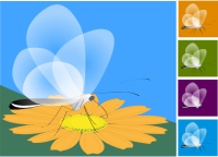 papillon transparent
