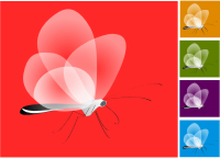 papillon transparent
