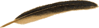 Feather