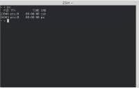 ZSH Terminal