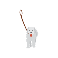 Dog on a Leash