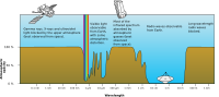 Atmospheric Electromagnetic Opacity