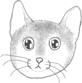 A stripped kitten face