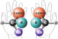 Chirality With Hands