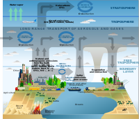 Atmosphere Composition