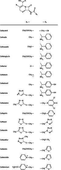 Cephalosporins