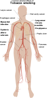 Adverse Effects Of Tobacco Smoking