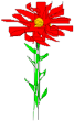 Red flower