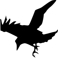 Raven silhouette