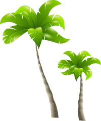 Palm Trees - Palmiers