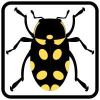 Bug Icon