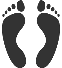 Soles Feet