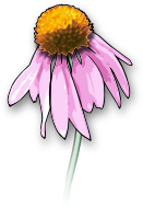 Flower2