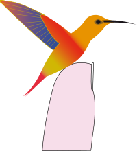 hummingbird