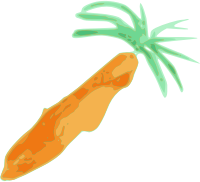 Carrot 1