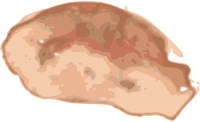 Potato