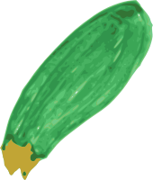 Zucchini