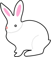 bunny