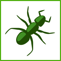 Eco green ant icon