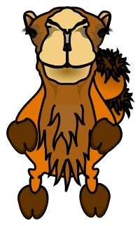 Comic Camel