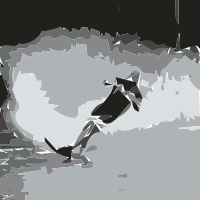 waterski