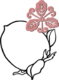 Peach Flower Frame