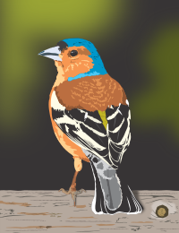 Finch Remix