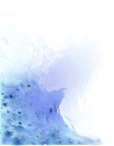 wave