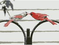 Love birds