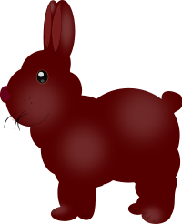 Chocolate Bunny