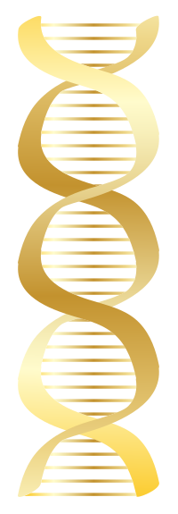 Gold DNA icon